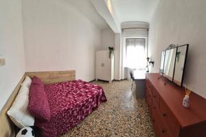 Camera Singola a studente maschio - Ancona