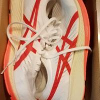 scarpe corsa asics con piastra 