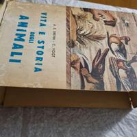 libri