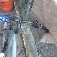 Bicicletta elettrica
