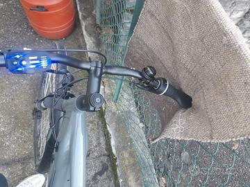 Bicicletta elettrica