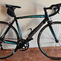 Bianchi Via Nirone 7 originale