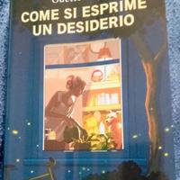Romanzo "Come si esprime un desiderio"