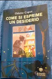 Romanzo "Come si esprime un desiderio"
