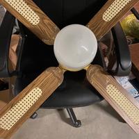 Ventilatore da soffitto