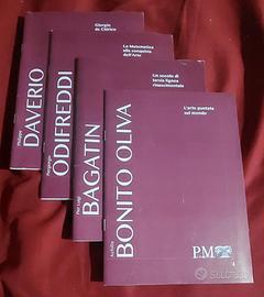 Collana PMincontri - Fondazione Palazzo Magnani