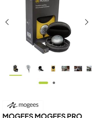 Mooges Pro