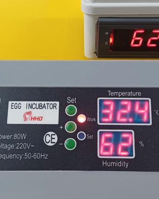 INCUBATRICE AUROMATICA