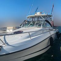 Hydra Sports 2900VX + 2x250hp Yamaha (tutto 2009)