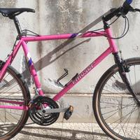 mtb moser