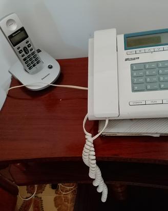 Telefono fisso e cordless 