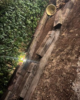 Travi  di legno