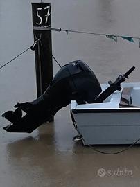 MOTORE EVINRUDE E-TEC 40