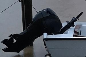 MOTORE EVINRUDE E-TEC 40