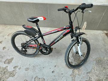 Bicicletta bambino 20 "