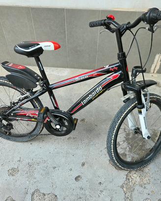 Bicicletta bambino 20 "