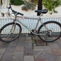 Bicicletta Mountain Bike