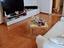 Immagine 11