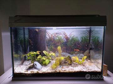 Acquario Tetra 60 L