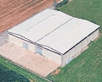 capannone agricolo