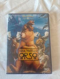 Koda fratello orso