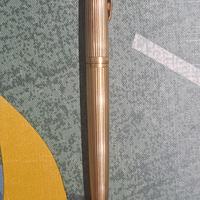 Penna Stilografica Waterman C/F Placata In Oro 18K