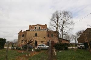 CL248 - Porzione di casale con annessi e giardino