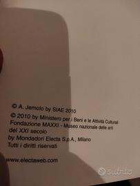 Libro Maxxi materia grigia architettura