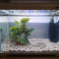 Acquario AMTRA Modern Tank 40 LED + FILPO CLICK
