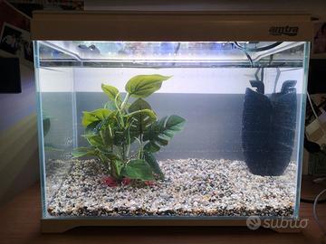 Acquario AMTRA Modern Tank 40 LED + FILPO CLICK