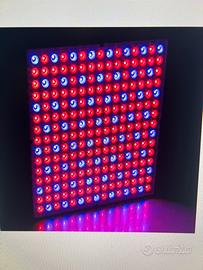Lampade + luci led per serra coltivazione piante