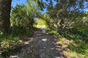 TER. AGRICOLO A SAN FLORO