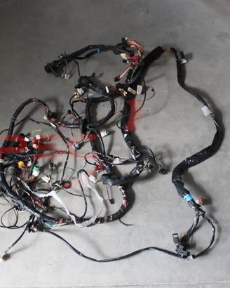 Impianto cablaggio elettrico Nissan Atleon 35.13