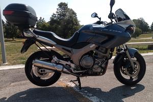 Yamaha TDM 900 - 2004