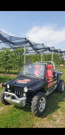2013 Dune buggy 800