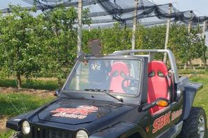 2013 Dune buggy 800