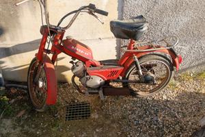 Guzzi Dingo 1974