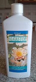 Algastop per laghetto