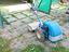 Immagine 2