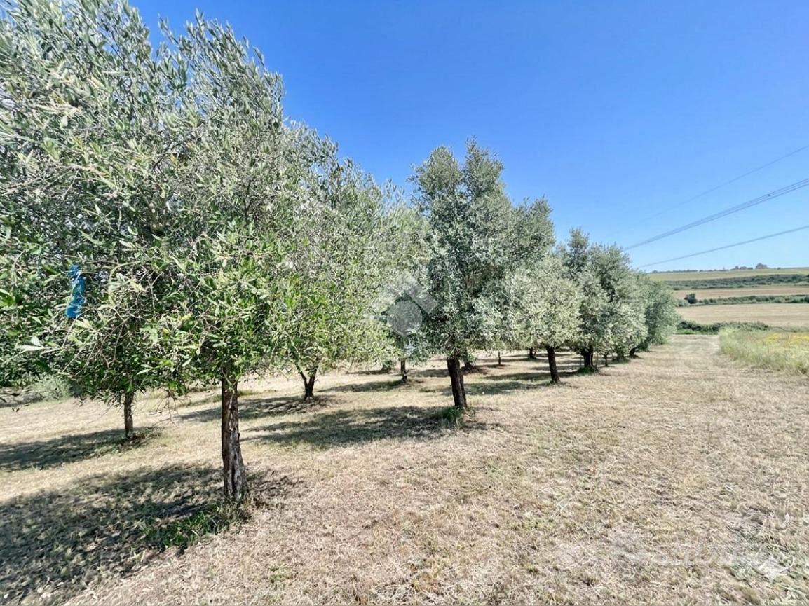 TER. AGRICOLO A ROMA - Vista 2