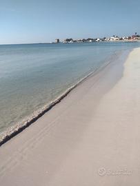 A pochi passi dal mare caraibico del lido le dune