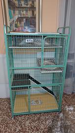Gabbia extra grande per gatti 