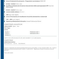 Idraulico, tubista antincendio, carrozziere