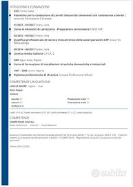 Idraulico, tubista antincendio, carrozziere