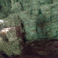 Fieno primo taglio montagna
