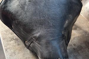 Sella moto guzzi sport 13/14