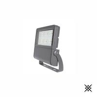 Faro professionale LED 100W