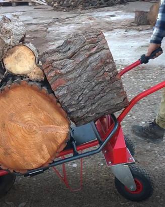 Carriola Elettrica Nuova ancora in Garanzia