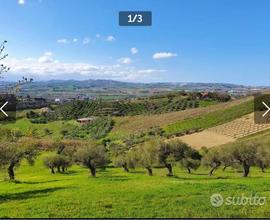 Terreno edificabile con annesso terreno agricolo
