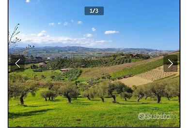 Terreno edificabile con annesso terreno agricolo
